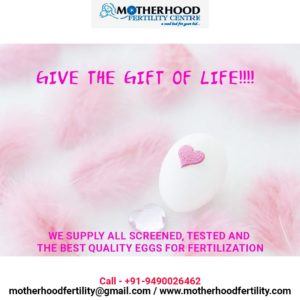 Motherhood Fertility Centre