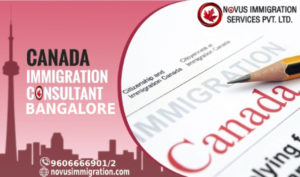 Novus Immigration Consultants in Bangalore