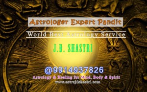 Best Astrologer in USA