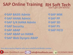 RH SOFT TECH Online Training Institute