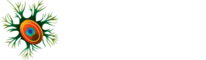 Dr. Rakhil Yadav – Best Neurologist in Ahmedabad