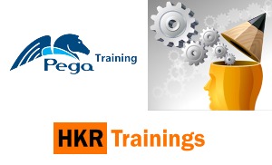 Pega Training