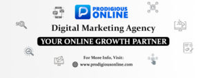 Prodigious online – Digital Marketing Agency in Mohali