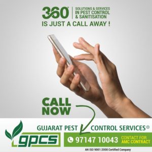 Termite Treatment Ahmedabad