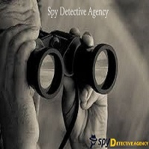 Spy Detective Agency