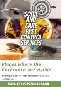 Solve and Care Pest Control Services