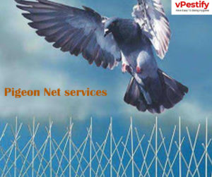 Nylon bird netting services in delhi