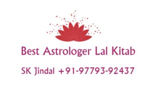 The Best Astrologer in Ludhiana+91-9779392437