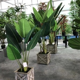 Sharetrade Artificial Plant and Tree Manufacturer Co., Ltd