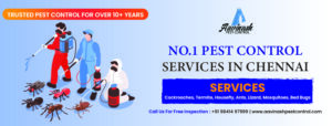 Aavinash Pest Control