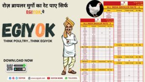 Egiyok india’s first poultry app