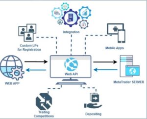 Best Automated Forex Trading Software